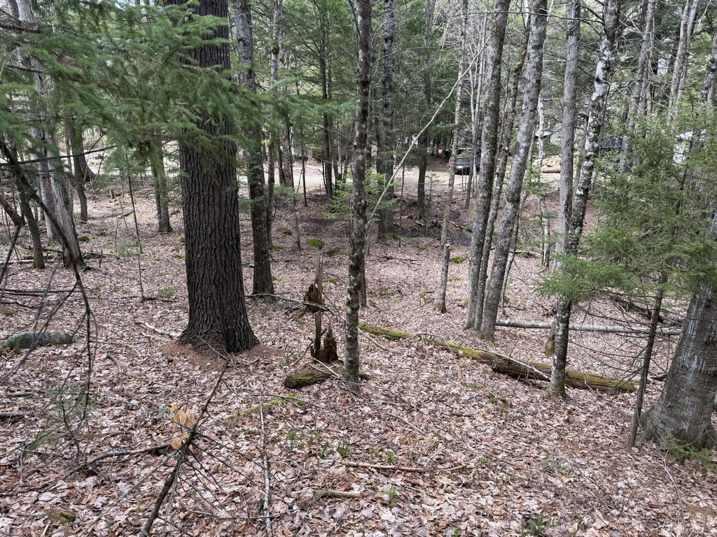 3 Webb River Acres  Carthage