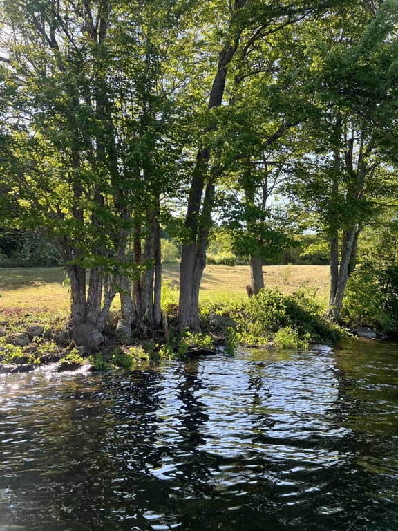 457 Searsport Road Swanville