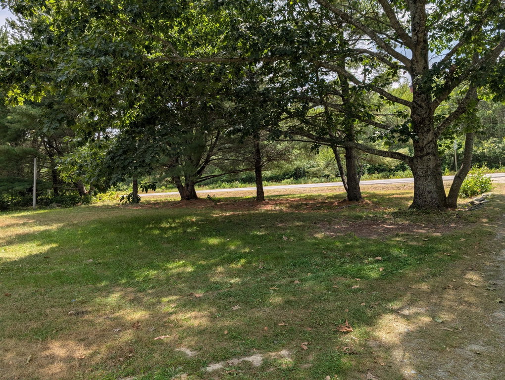Eagle Rd front yard to tree line1