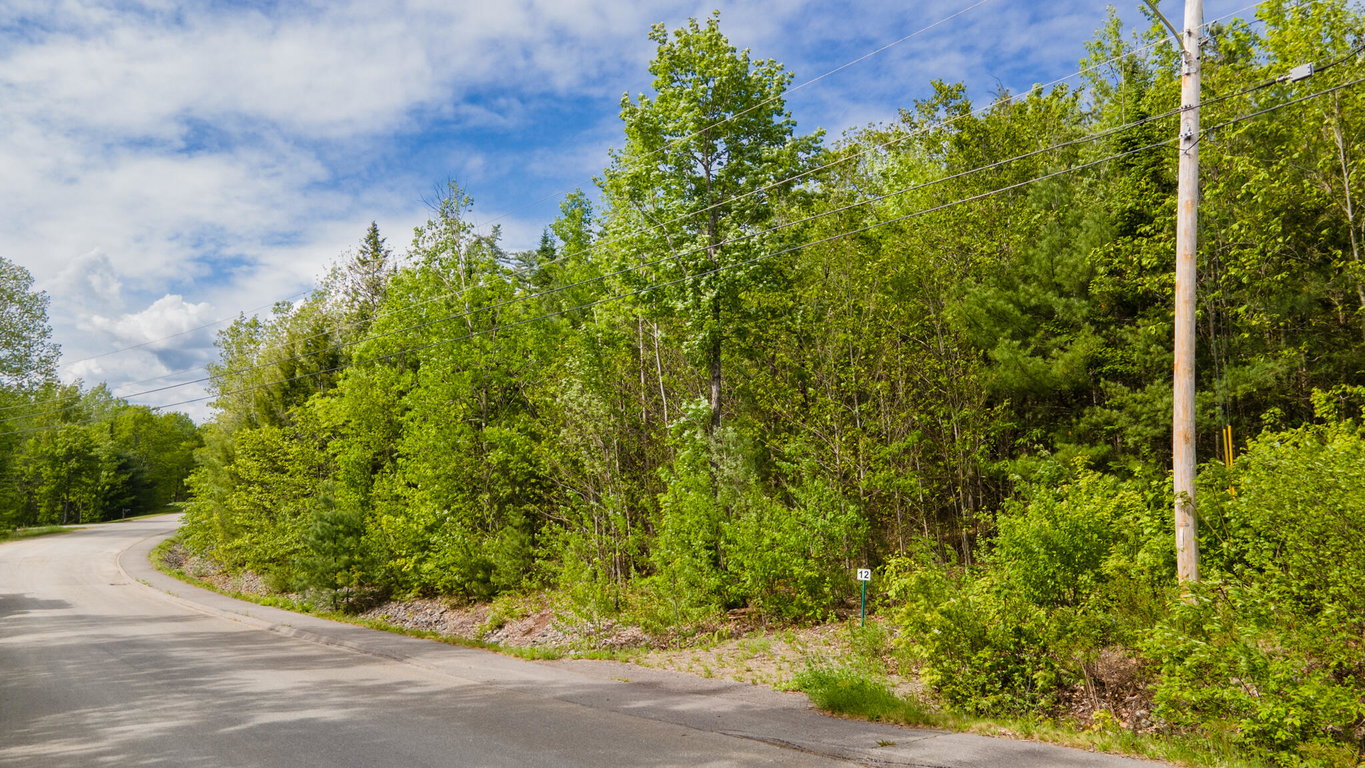 Lot 12 Grant Road Orono