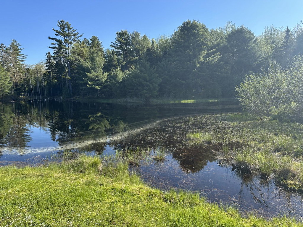 61 Gerards Pond Pic 2