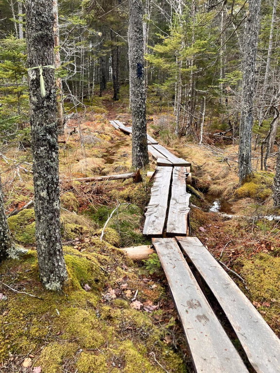 Path to Water