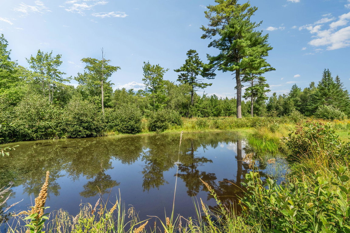 31-web-or-mls-368-partridge-cove-rd