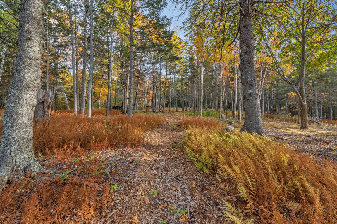 4-web-or-mls-495-north-deer-isle-land