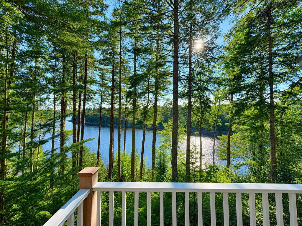 River from Deck