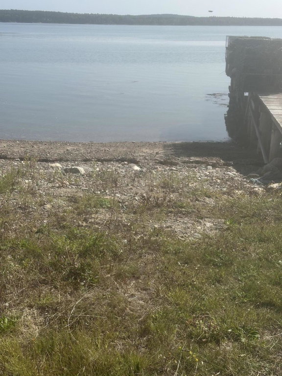Boat ramp 2