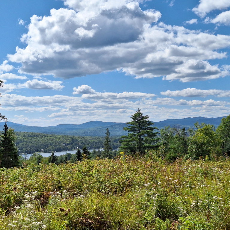 Lot #9 Wheeler Road Rangeley