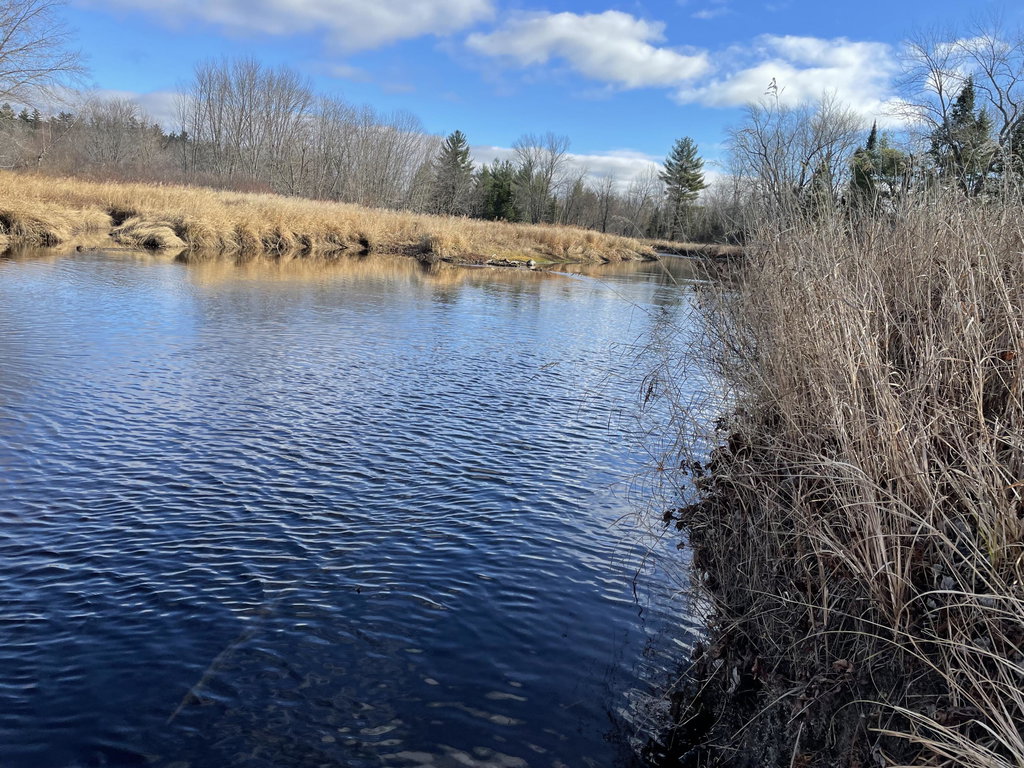 Lot 40 Lord Brook Road Grand Falls Twp