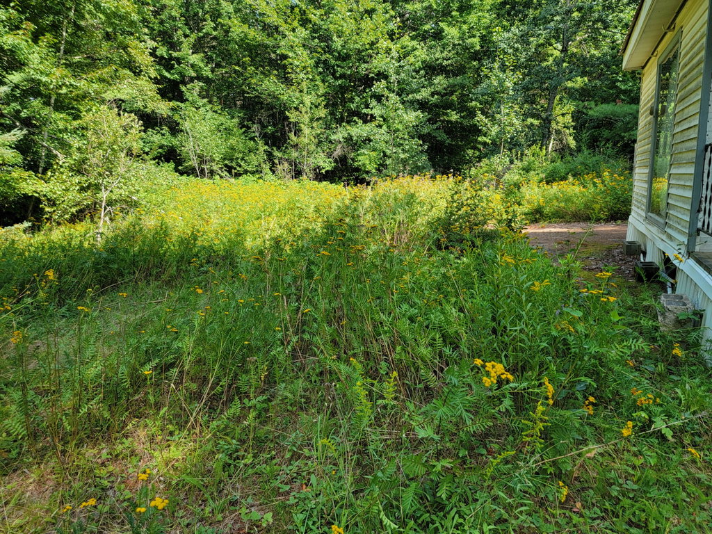 239 Folsom Pond Road Lincoln