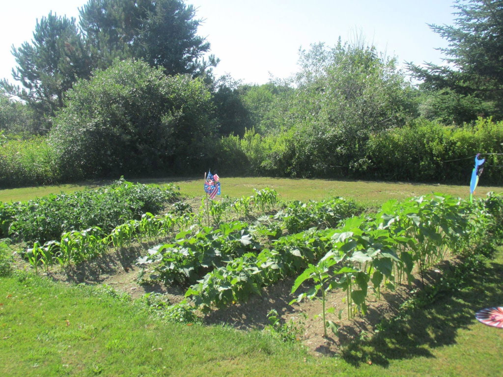 Garden area