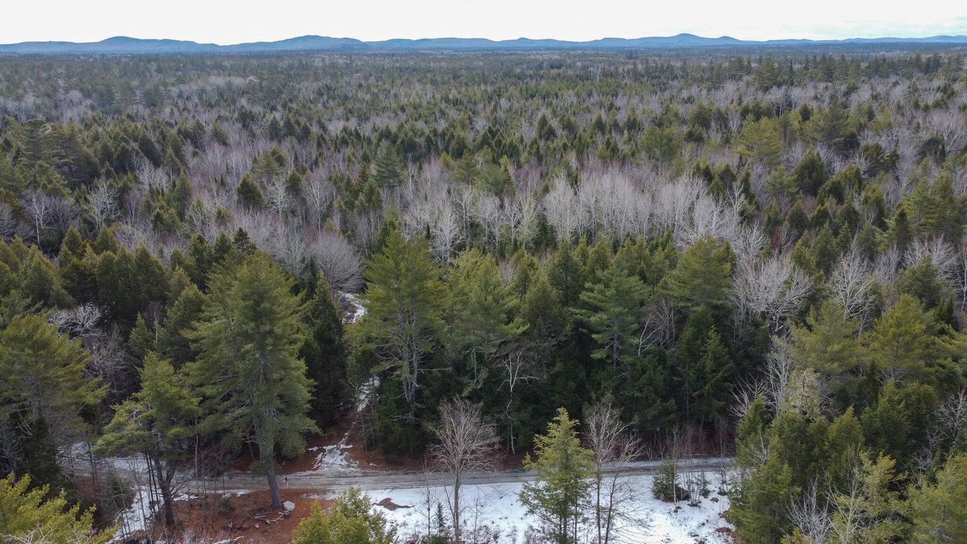 M1L58.3 Pickerel Pond Road Greenfield Twp