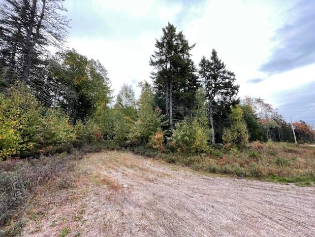 Lot #17-34 Dolly Head Estates Road  Steuben