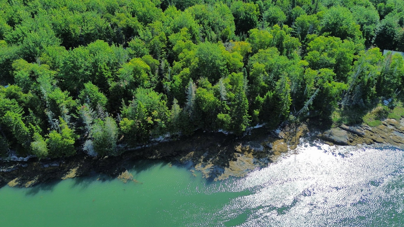 dji_fly_20260830_102858_100_178809962980
