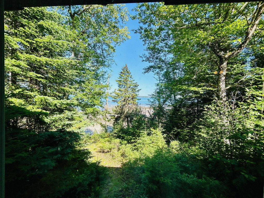 Path to shore