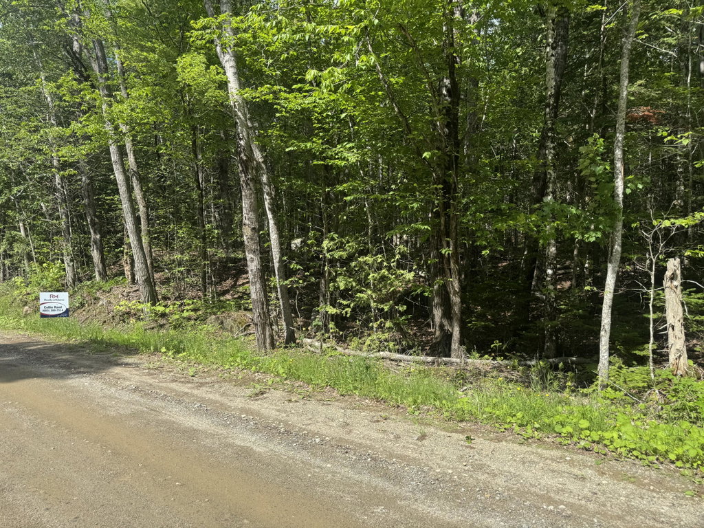 Lot 7 Curtis Farm Road Lincoln