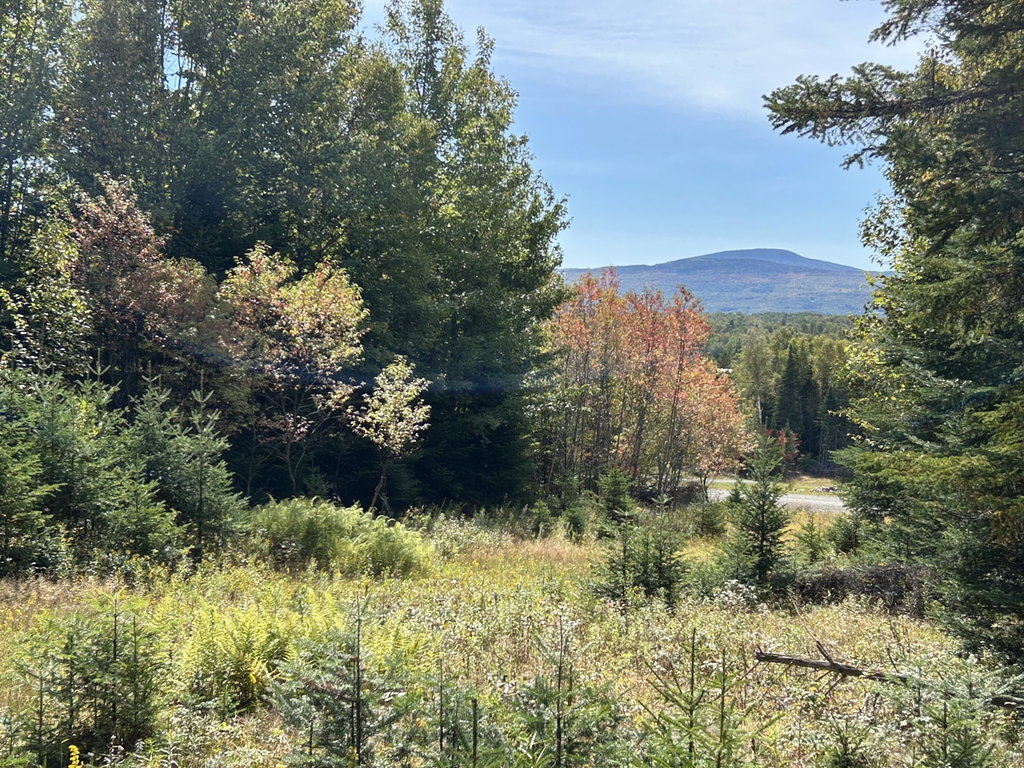 Lot 6 Johnson Lane Rangeley