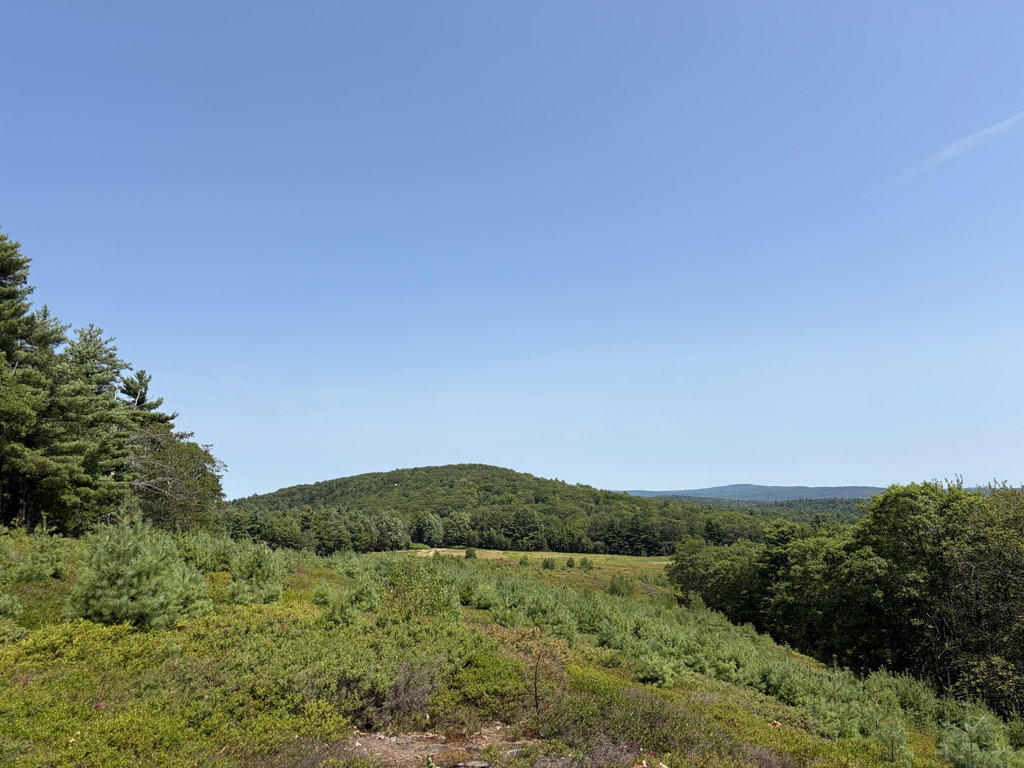 30 acres Belden Woods Road Palermo