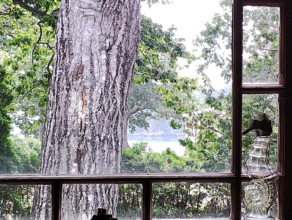 view from back room