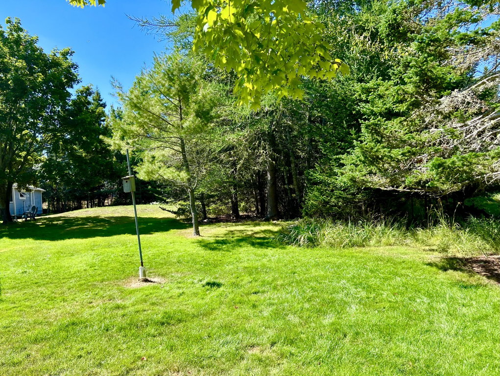 Grounds