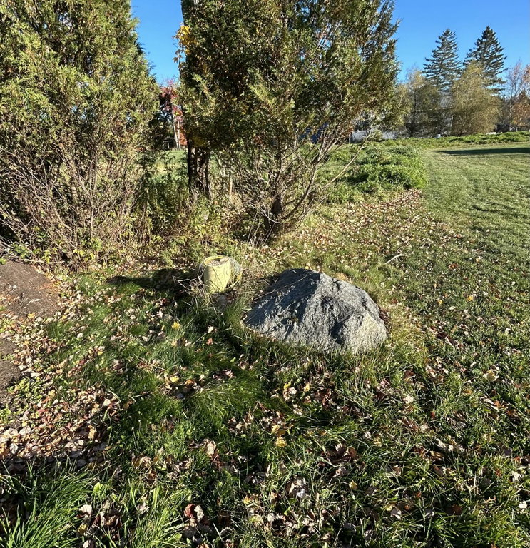 WELL IN BACK YARD