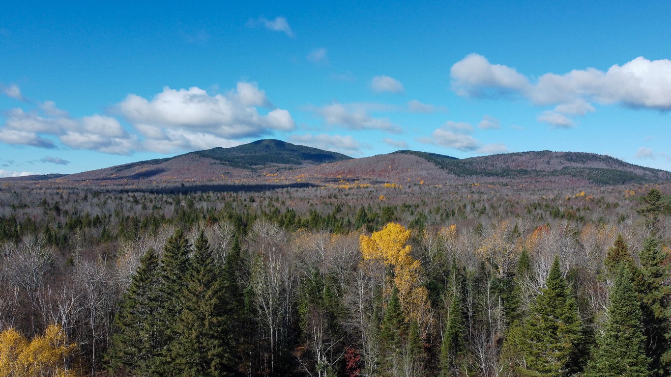 M5L16 Aroostook Scenic Highway Hersey