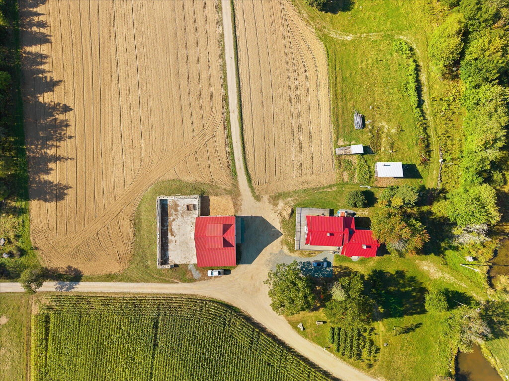 Birdseye View
