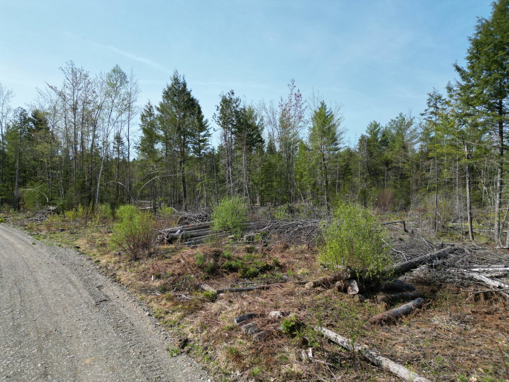 Lot 1 Mattamiscontis Road Howland