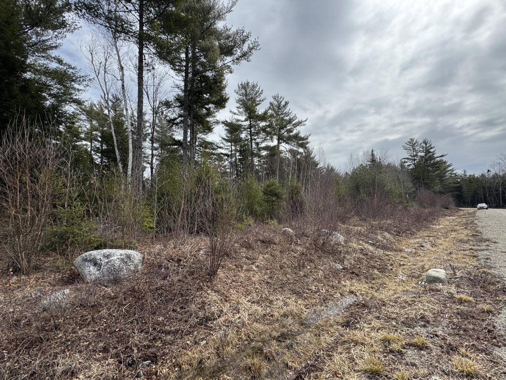 Left Side of Lot