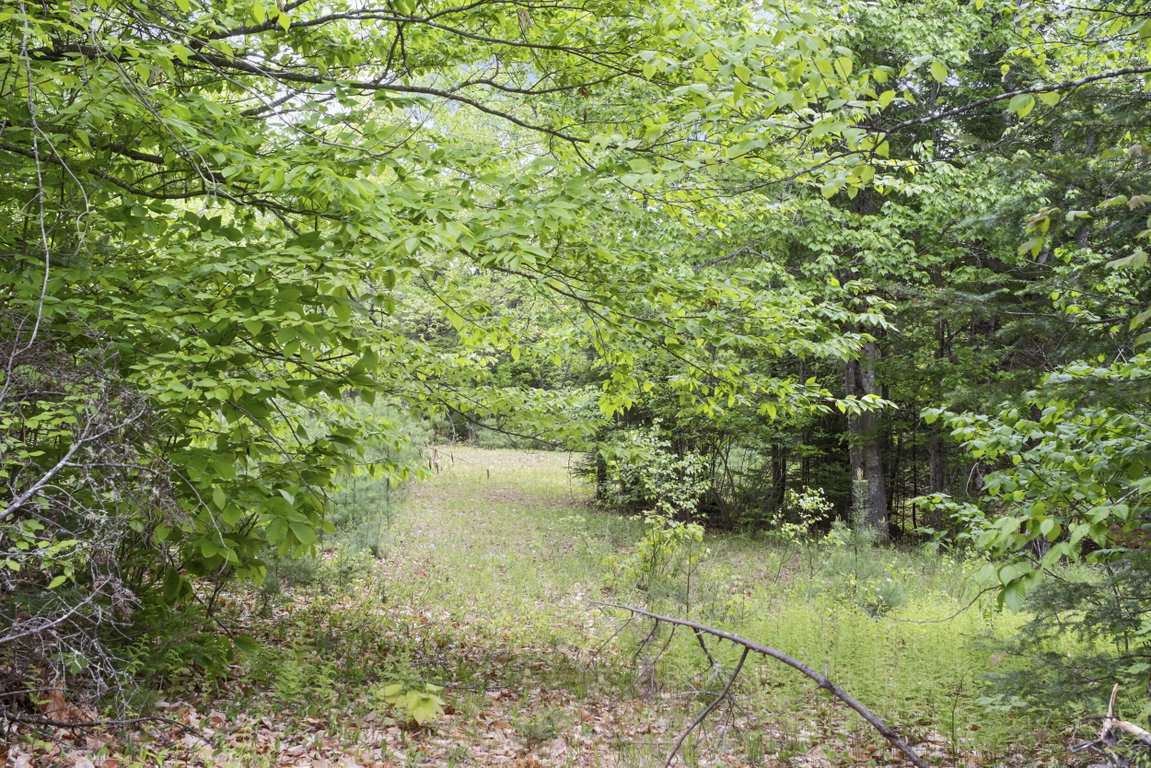 M2 L21-2 Ridge Road Palmyra