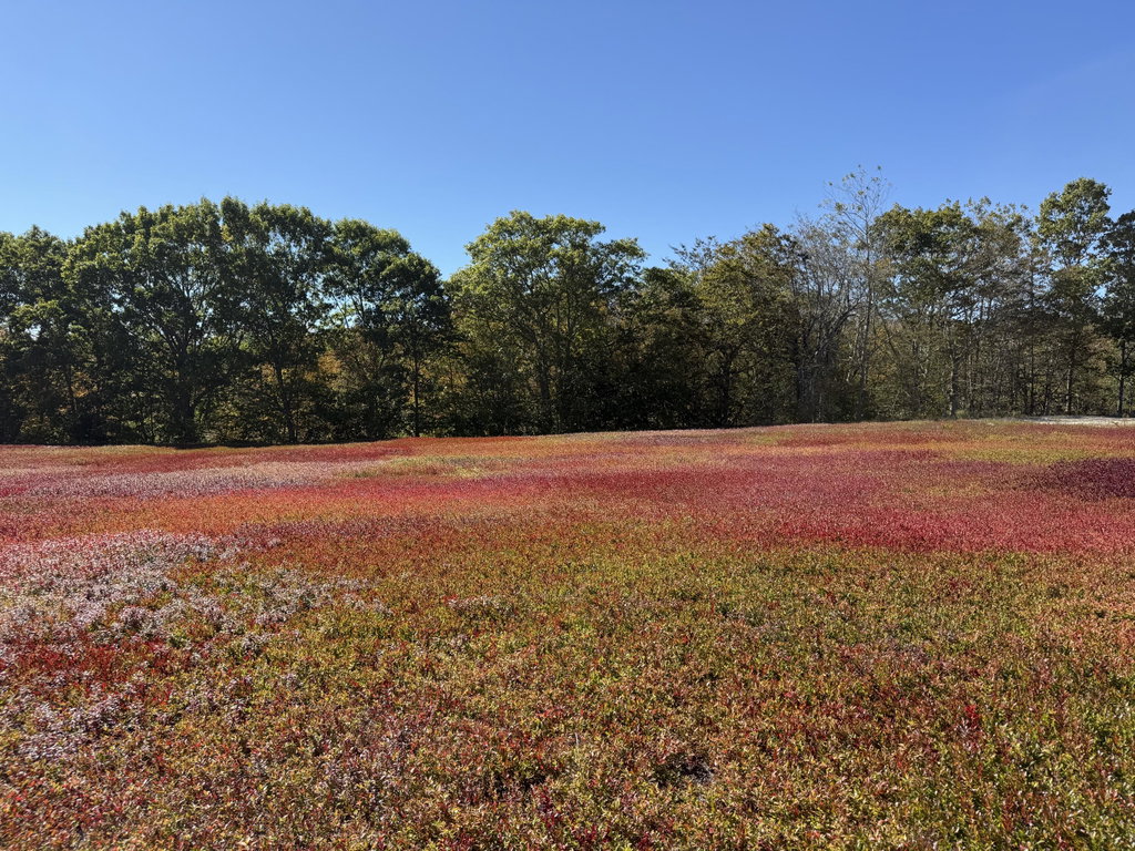 MAP 31 LOT 29