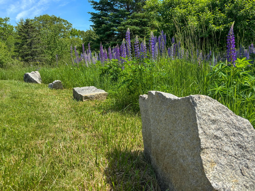 Grounds (5)