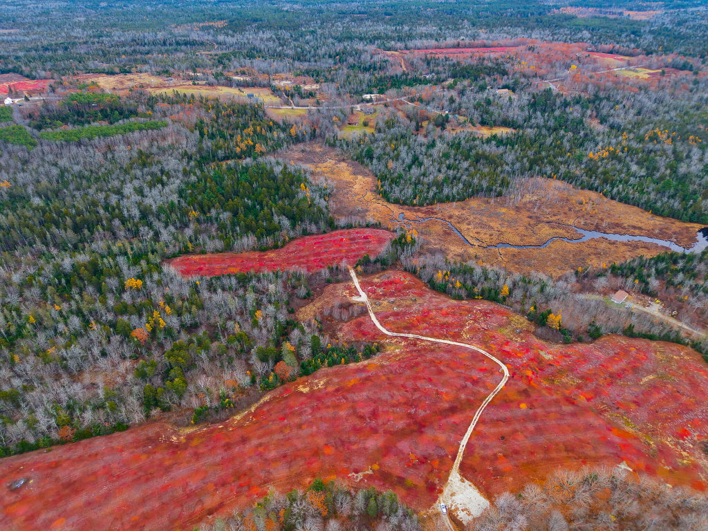 MAP 31 LOT 29