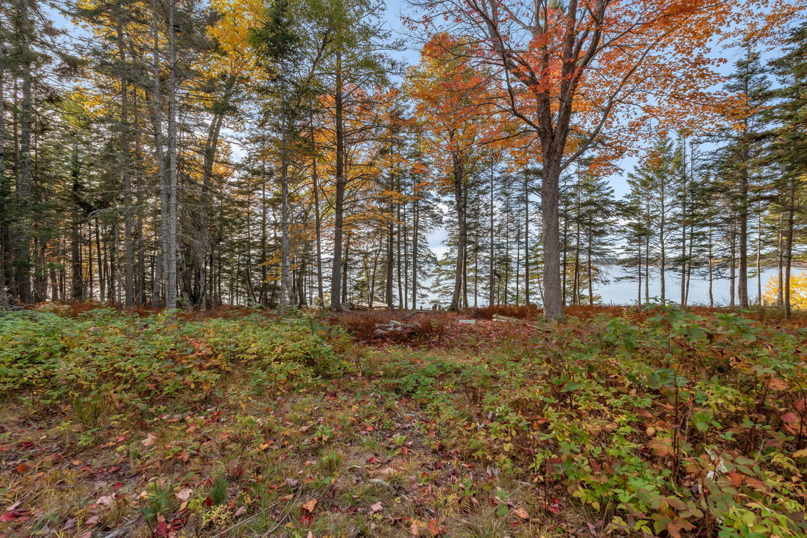 8-web-or-mls-495-north-deer-isle-land