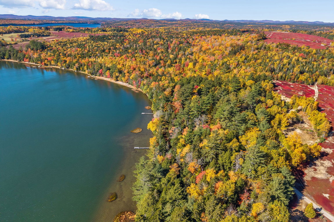 60-web-or-mls-25-dickens-farm-rd