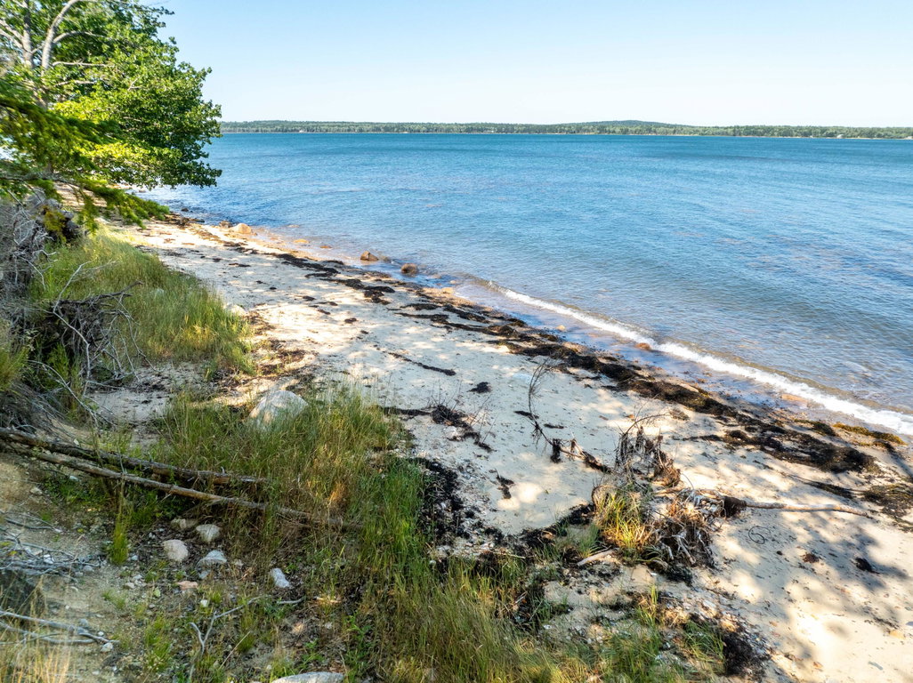 Beach & Bay