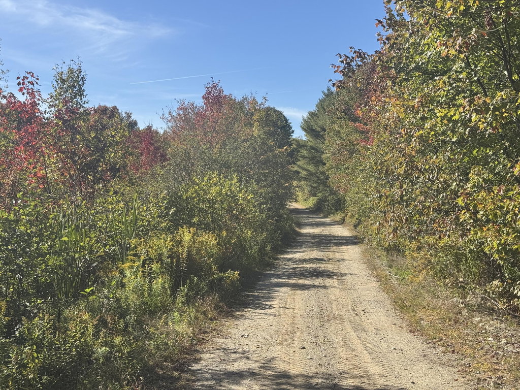 Lot 19-1 Green Valley Road Stockton Springs