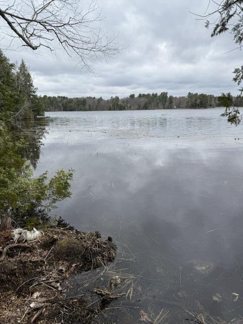 Lot 9 Wentworth Cove West Gardiner