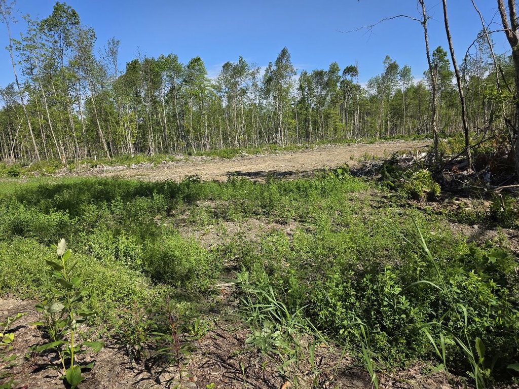 lot 27 Williams Road Amity