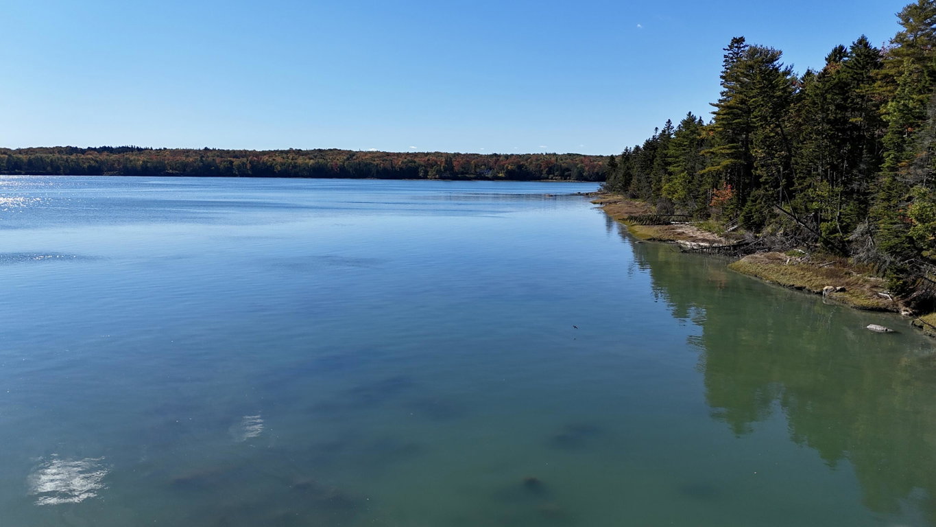 dji_fly_20261003_144418_0382_17912071033