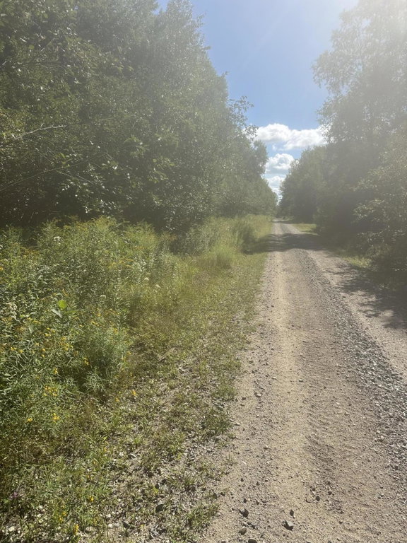 Map3 Lot2 Railroad Street Harrington