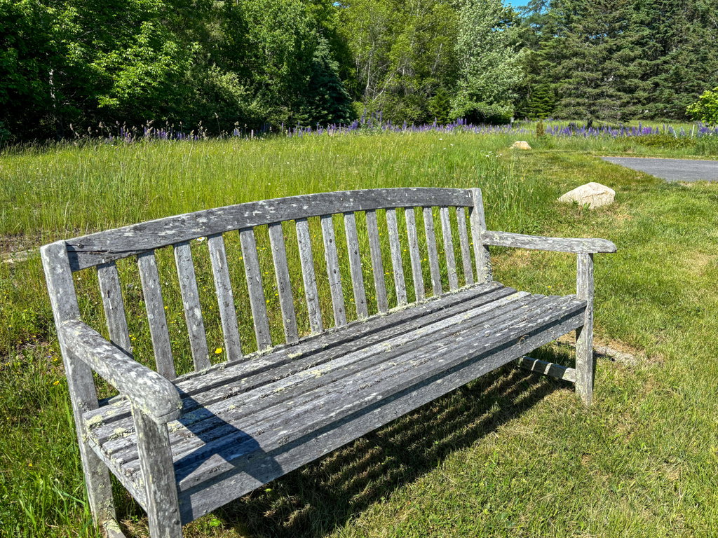 Grounds (2)