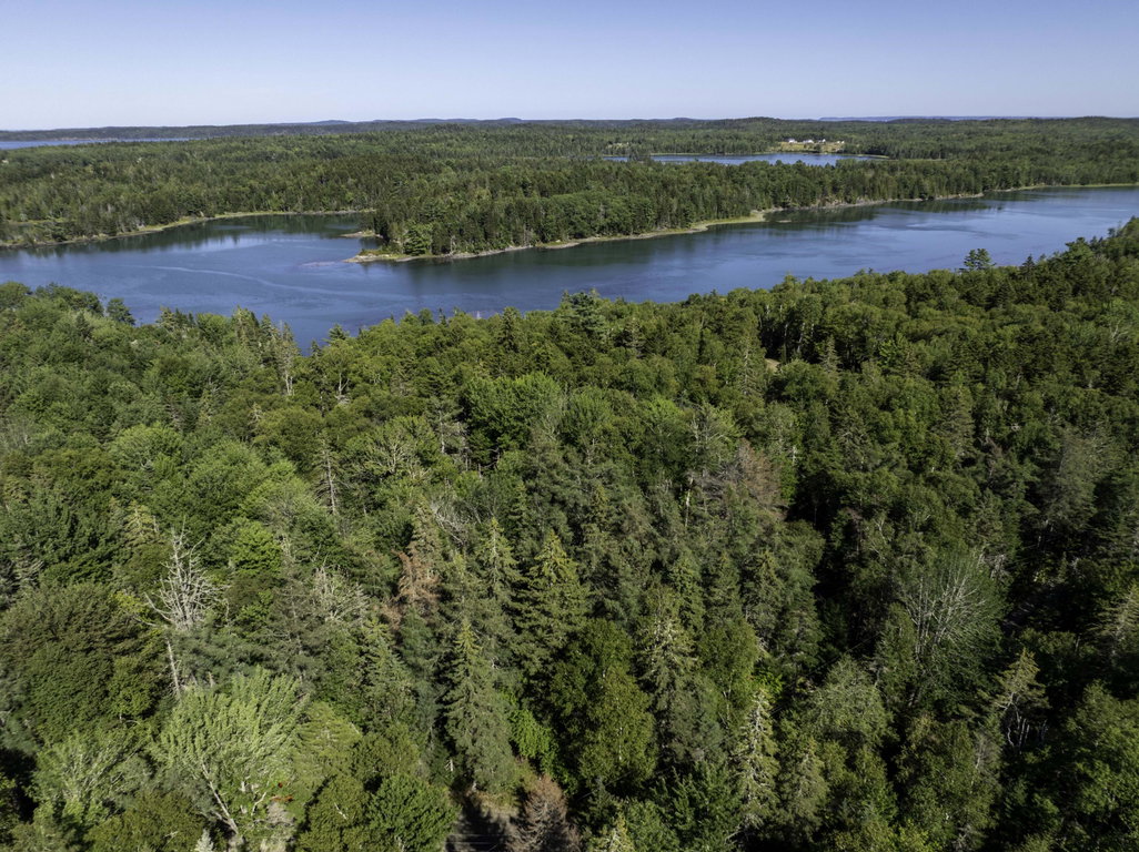 Lot 48 Coffins Neck Road Lubec