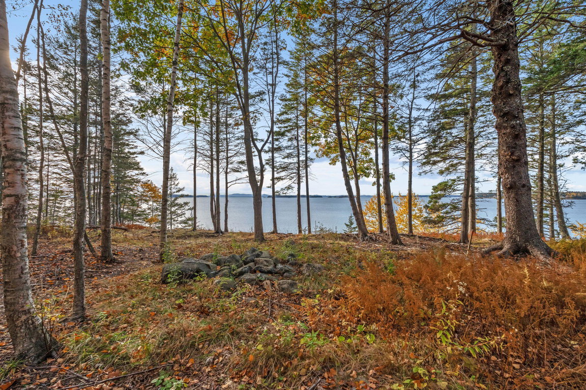 5-web-or-mls-495-north-deer-isle-land