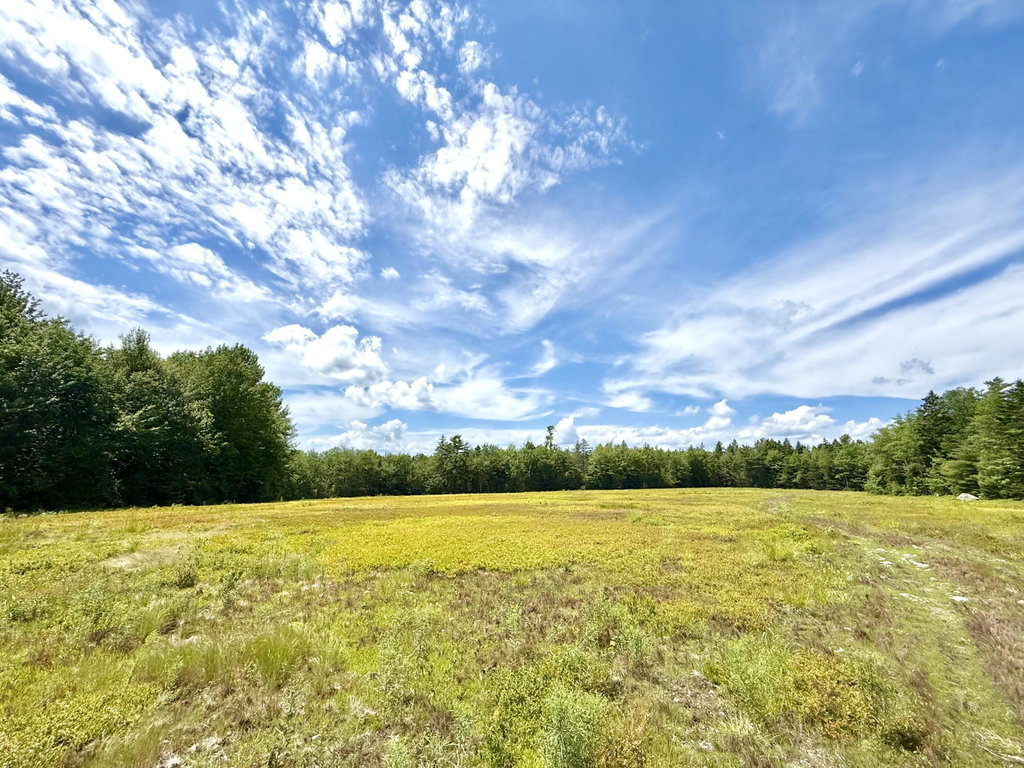 Lot 9