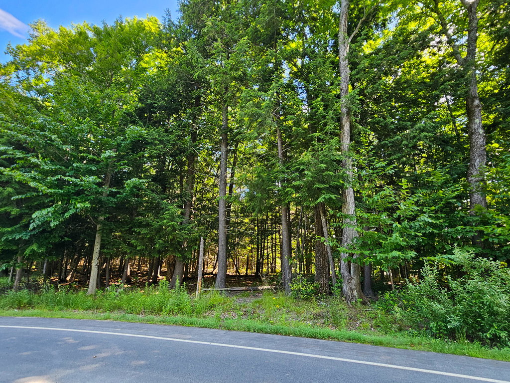 11-31-C Stone Hill Road Farmington