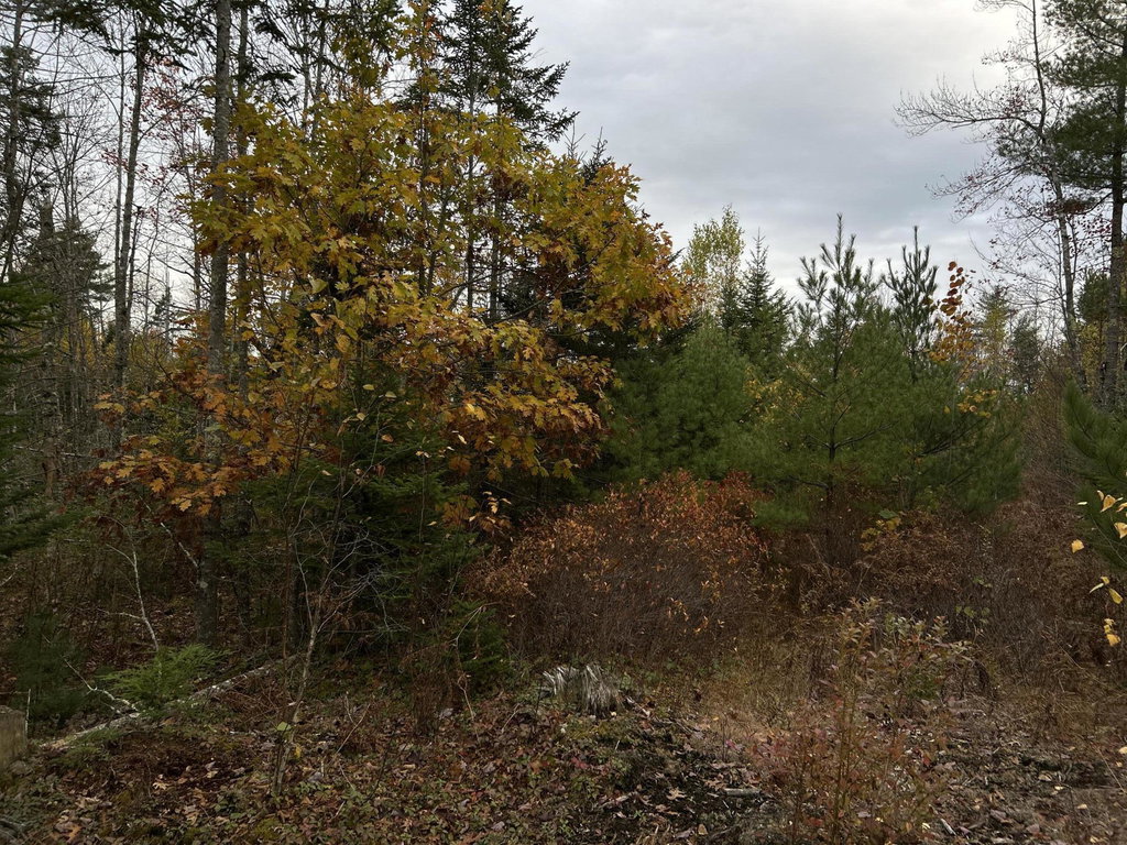 401 Genthner Road Waldoboro