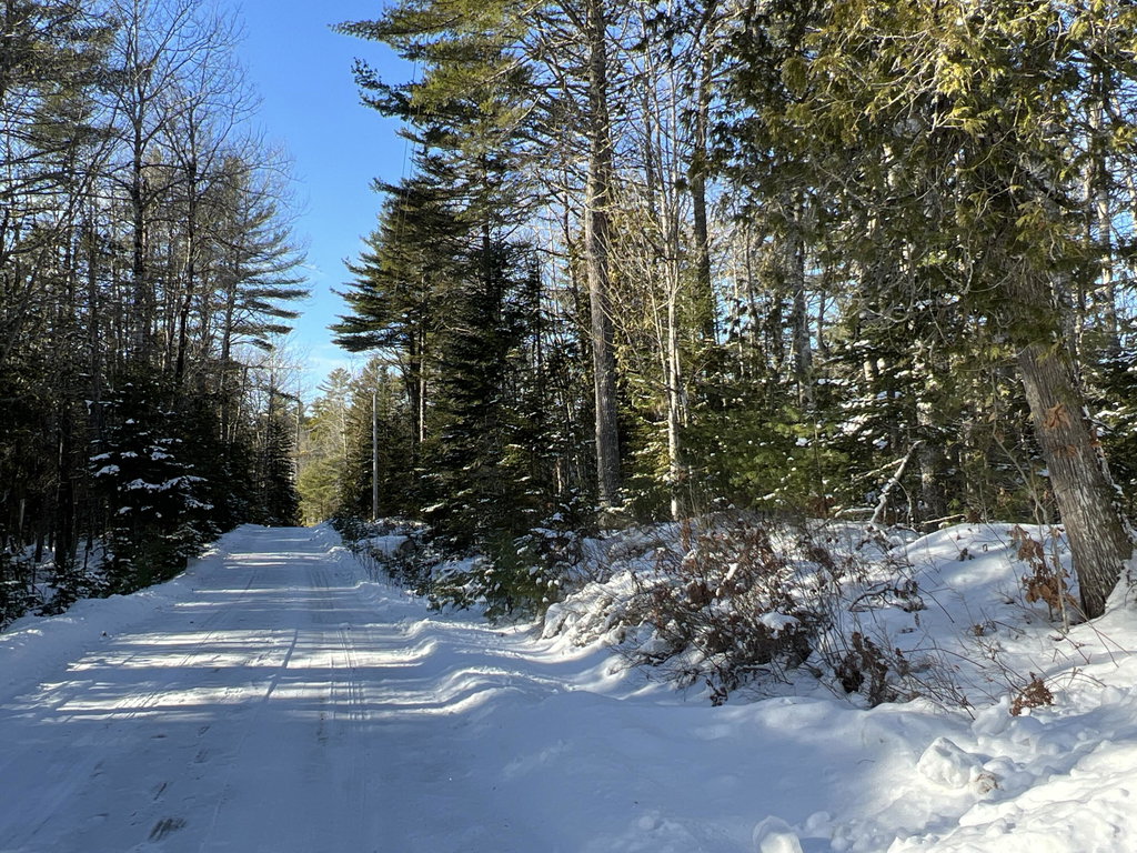 lot 21-10 Toddy Drive Penobscot