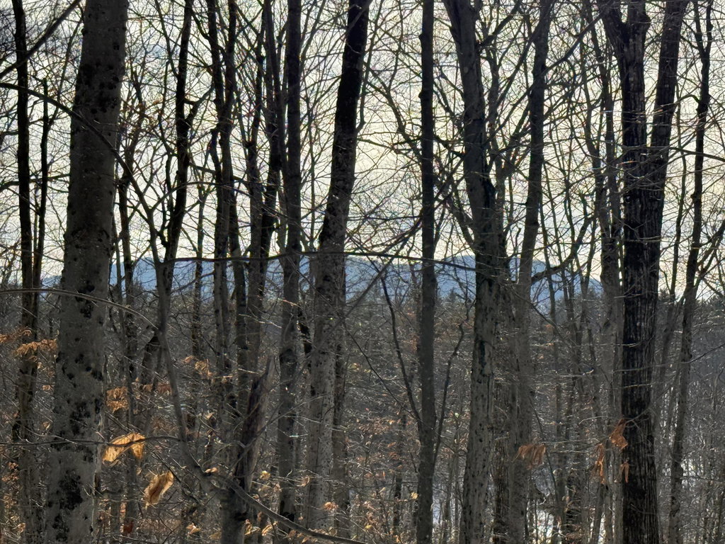 Lot 15-3B Sweden Road Bridgton