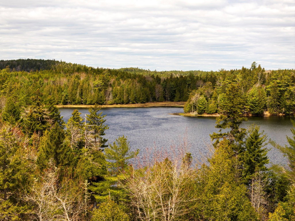 LittleLakeLand_001