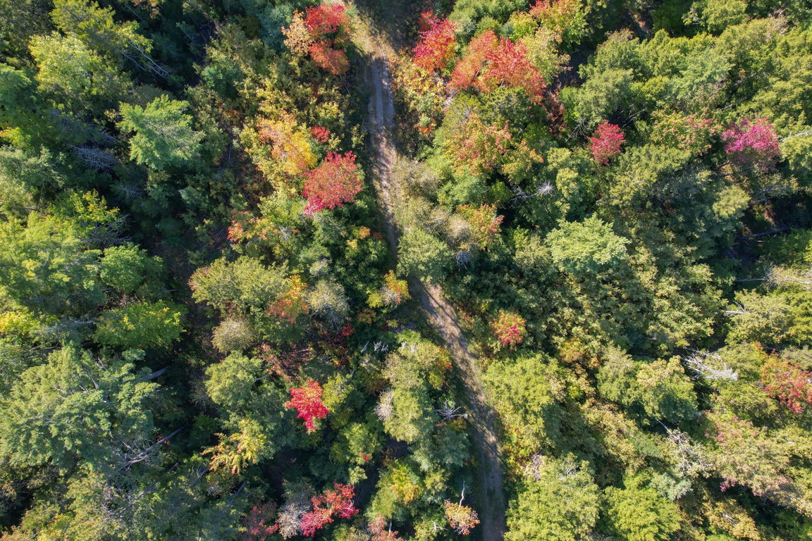 DJI_0540